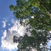 fingka_91