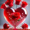 user6172873252671