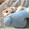 qiinchang