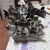 somoltoesaurita10