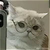 buiger_buinimak