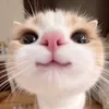 _eeestheryu_