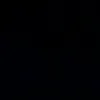 bobr_bruclin