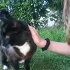 viksiiawq