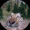 i_like_cheese577