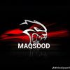 shahmaqsood808