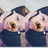 n_forrnajwaaaa22