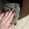 x_oi_89