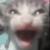 .sn1ka
