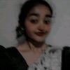 dinu.2010