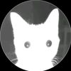 sir.imaminor