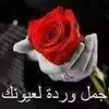 hassana.jaiouni