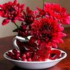 irfan.rana229