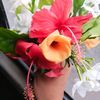 lovelyqueen4401