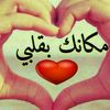 user141010100