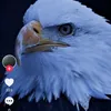 user1313882539035