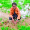 houlou.bahar.al.mi
