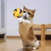 jairocob_