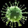 mamvirus