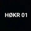 hogir003