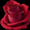 user7702052920994