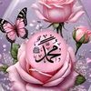 user99283030839245