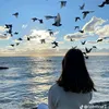 meryem17304