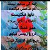 manzolah.amani8