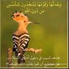 user9506507008549