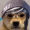 bunz_siege.player