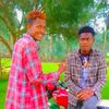 alemu.birhanu7