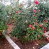 user1925706109417