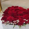 yasser_7690
