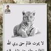 mohamed.chaib811