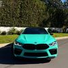 arm_carz