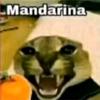 mandarina_0110