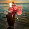 userdanielaalves055