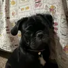 ana.clara.oficial820