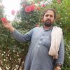 abdul.ghani.kakar66