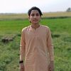 aligujjarking95