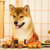 shibainu.pon.japanfan