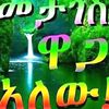 yemeyisawlij1