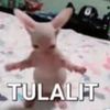 0lpdsysuayr8