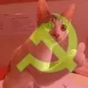 hiihuu69