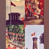 bunnju_11