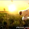 user8451081391125