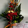 l.th.hng6496