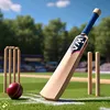 crictok11