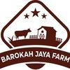 barokah jaya farm