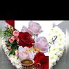 user4101163081840